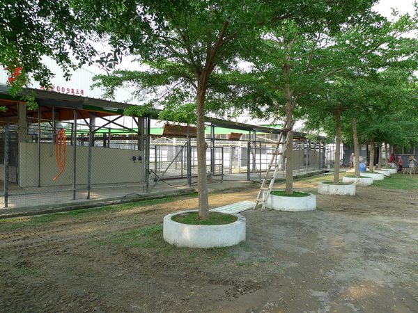 公園區.JPG 公園區.JPG