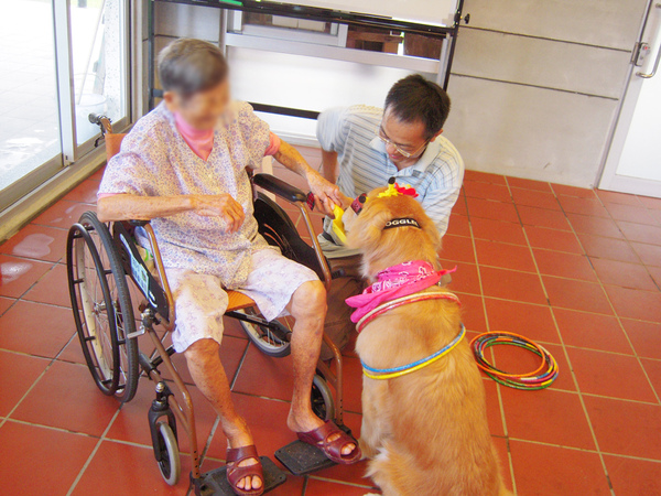 下OK指令 拷貝.jpg