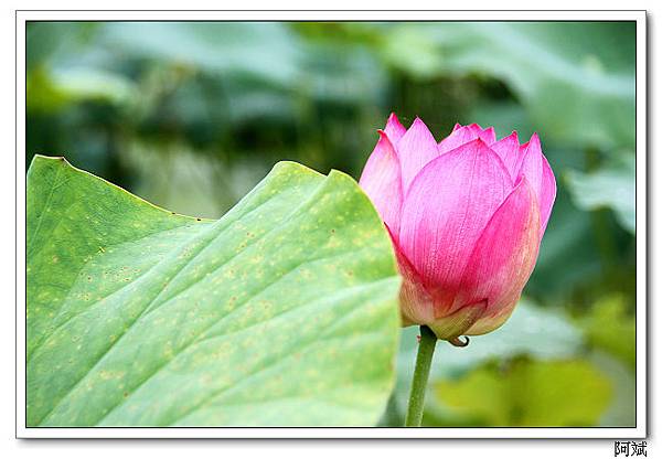 IMG_2482 IMG_2482