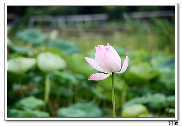IMG_2509 IMG_2509