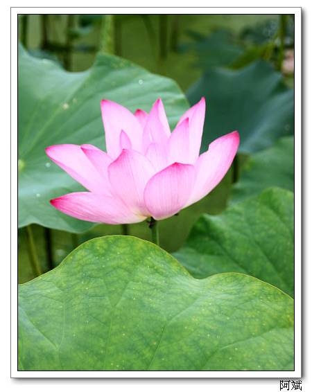 IMG_2495 IMG_2495