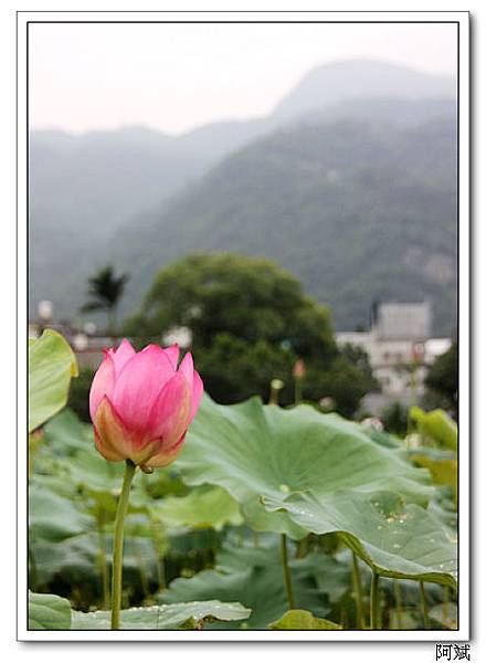 IMG_2492 IMG_2492