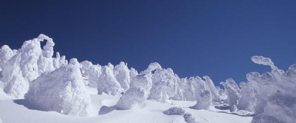 日本東北樹冰.JPG