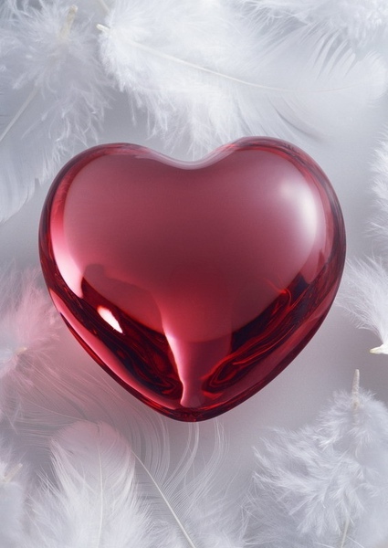 love29.jpg love29.jpg