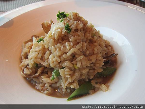 高雄鼓山區=<食>蜜熊窯烤披薩蔬食新選擇 披薩也能端上桌=-蜜熊窯烤披薩 高雄鼓山區=<食>蜜熊窯烤披薩蔬食新選擇 披薩也能端上桌=-蜜熊窯烤披薩