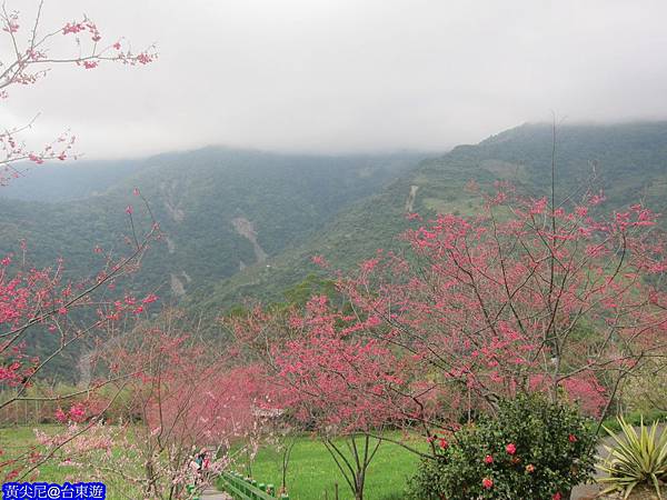 照片 022 照片 022
