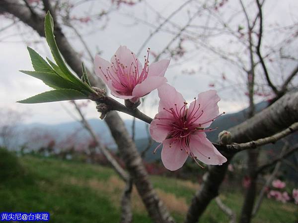 照片 026 照片 026