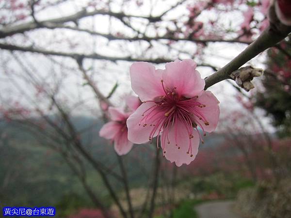 照片 028 照片 028