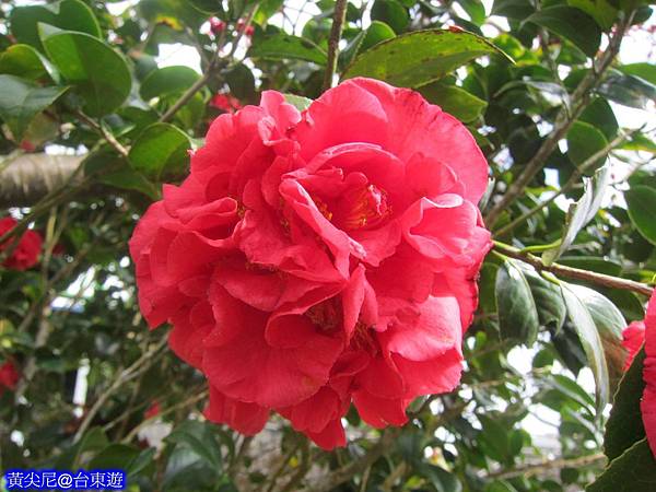照片 029 照片 029