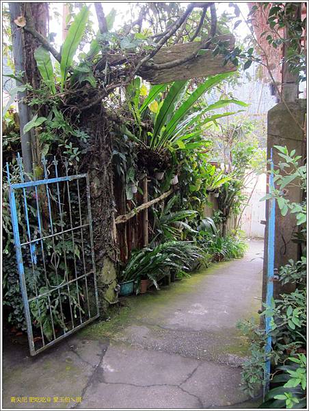 嘉義奮起湖=<食>愛玉伯ㄟ厝~來到奮起湖也要清涼一下,不可錯過的野生愛玉= 嘉義奮起湖=<食>愛玉伯ㄟ厝~來到奮起湖也要清涼一下,不可錯過的野生愛玉=