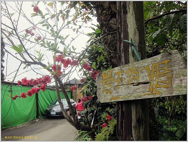 嘉義奮起湖=<食>愛玉伯ㄟ厝~來到奮起湖也要清涼一下,不可錯過的野生愛玉= 嘉義奮起湖=<食>愛玉伯ㄟ厝~來到奮起湖也要清涼一下,不可錯過的野生愛玉=