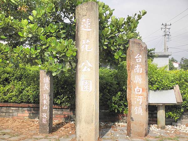 P6010028.JPG P6010028.JPG