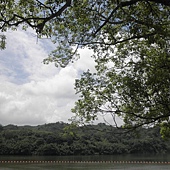 P6170097.JPG P6170097.JPG