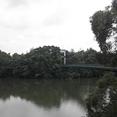 P6170104.JPG P6170104.JPG