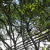 P6170120.JPG P6170120.JPG