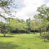 P6170124.JPG P6170124.JPG