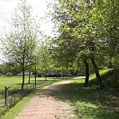 P6170121.JPG P6170121.JPG