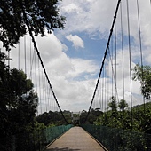 P6170155.JPG P6170155.JPG