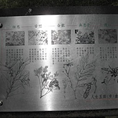 P6170181.JPG P6170181.JPG