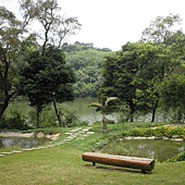 P6170203.JPG P6170203.JPG