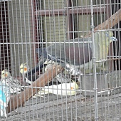 P6170206.JPG P6170206.JPG