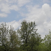 P6170209.JPG P6170209.JPG