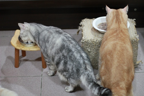 IMG_9977.JPG IMG_9977.JPG