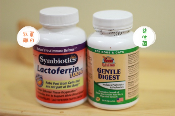 IMG_9970.JPG IMG_9970.JPG