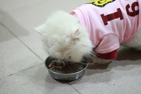 IMG_9972.JPG IMG_9972.JPG