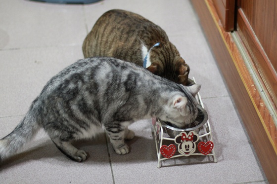 IMG_9983.JPG IMG_9983.JPG