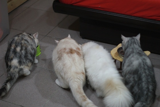 IMG_9980.JPG IMG_9980.JPG