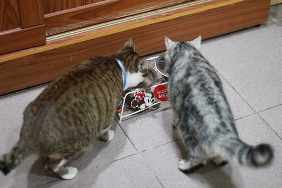 IMG_9975.JPG IMG_9975.JPG