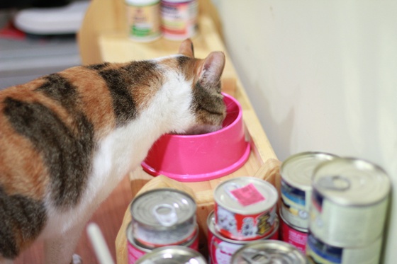 IMG_9978.JPG IMG_9978.JPG