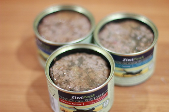 IMG_9955.JPG IMG_9955.JPG