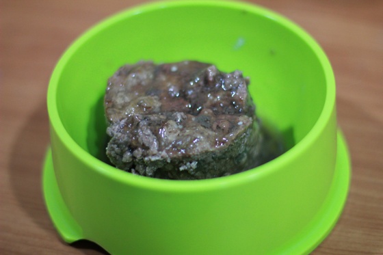 IMG_9968.JPG IMG_9968.JPG