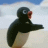 0780dd115743117f3ffcae09519e7b04_w48_h48 0780dd115743117f3ffcae09519e7b04_w48_h48