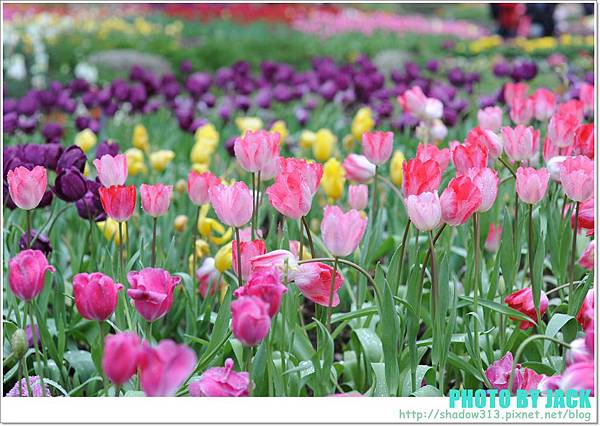 桃源仙谷2012 159.JPG