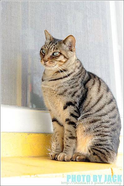 Miranda 005.JPG Miranda 005.JPG