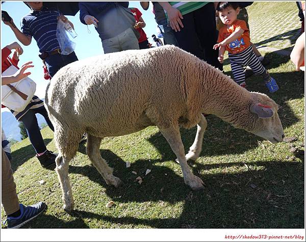 合歡北峰_GF2 010