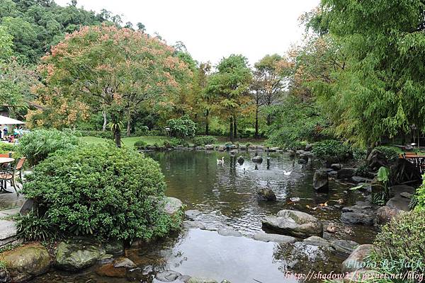 傳藝抓週行 009.JPG