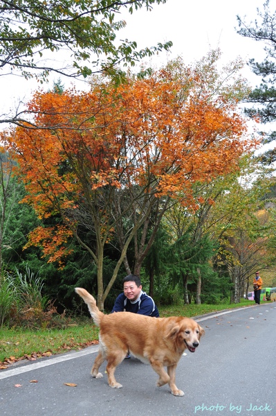 給點面子 別跑!! 給點面子 別跑!!