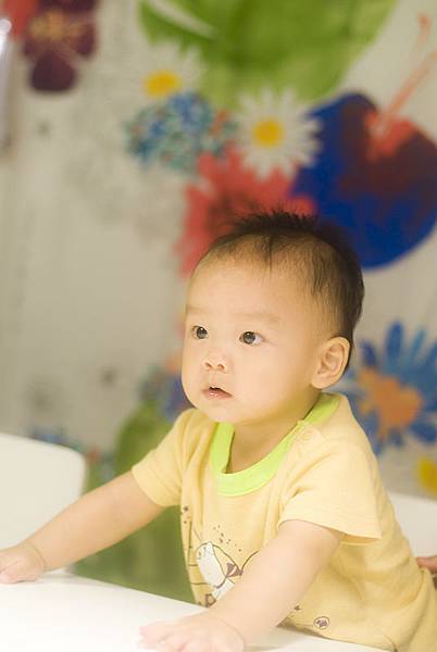 _DSC7237.jpg _DSC7237.jpg