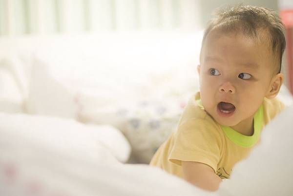 _DSC7290.jpg _DSC7290.jpg