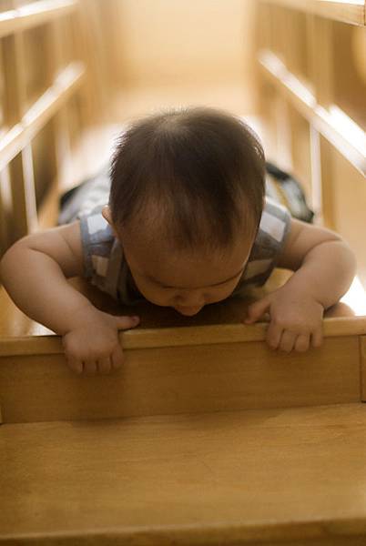 _DSC7839.jpg _DSC7839.jpg