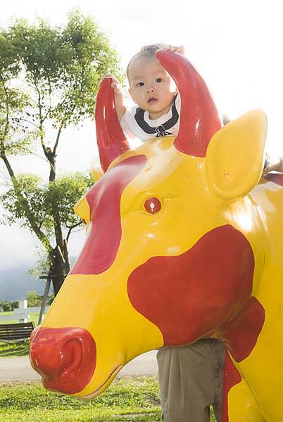 _DSC9595.jpg _DSC9595.jpg