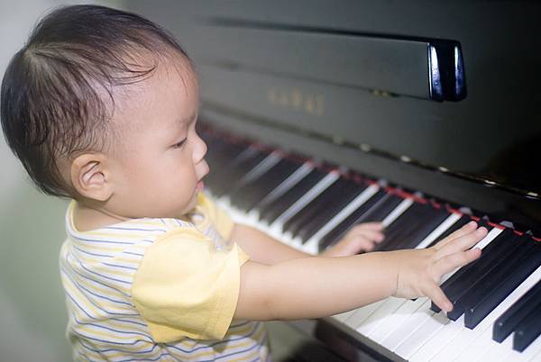 _DSC1852.jpg _DSC1852.jpg