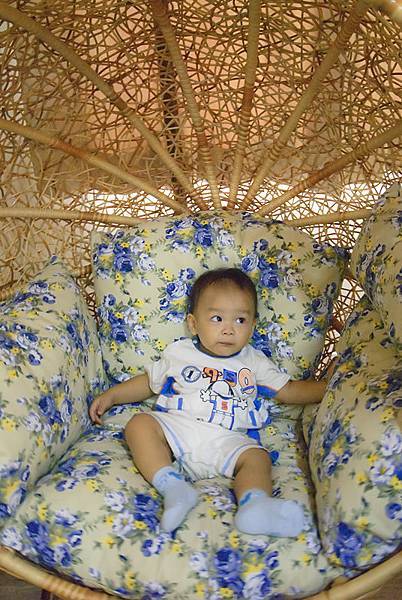 _DSC4223.jpg _DSC4223.jpg