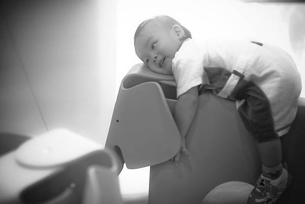 _DSC4232.jpg _DSC4232.jpg