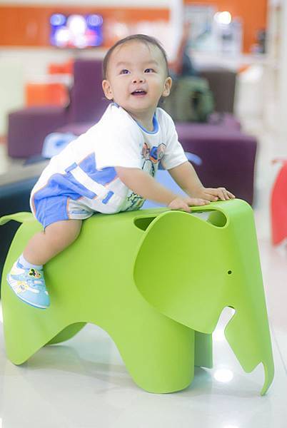 _DSC4252.jpg _DSC4252.jpg