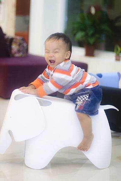 _DSC4500.jpg _DSC4500.jpg